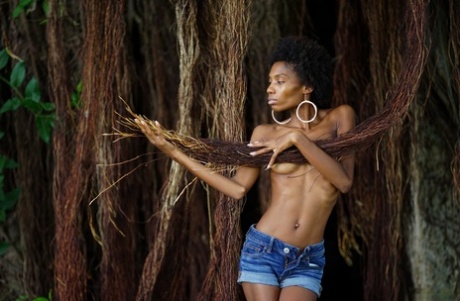 African Dakota erotic images