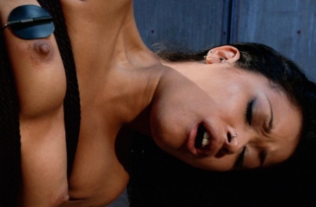 Skin Diamond pornographic model pictures