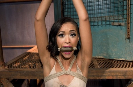 Skin Diamond model exclusive picture